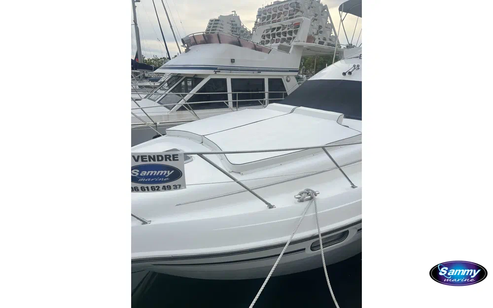 26_783186-sealinestatesman450